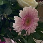 Trisha_Waters - @smileyhappypeople2022 - Instagram
