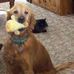 Trish Wyatt - Facebook