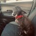 Trista Morris - Facebook