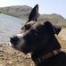 Trista Morris - Facebook