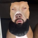 Tristan Sanchez - @tristansanchez413 - Instagram