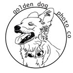 Trista Taylor - @goldendogphotoco - Instagram