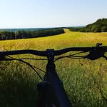Tristan Freeman - @tristanfreeman7776 - Instagram