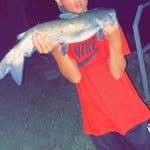 Tristan Freeman - @tristans_fishing_channel - Instagram