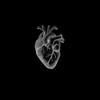 Tristan - @tristan.last - TikTok