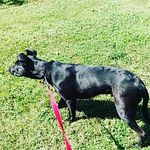tristan murray - @tristan_murray606 - Instagram