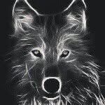 Tristan Patrick - @redwolfblack - Instagram
