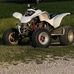 Tristan Petersen - Facebook