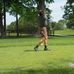 Tristan McDaniel - Facebook