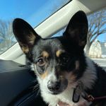 Trixie Nelson - @littlelovesponge - Instagram
