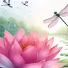 tròn lâm - @tron.lam - TikTok