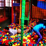 Troy Abbott - @bitbaxini - Instagram