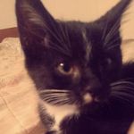 Troy Abbott - @troy.outtahere - Instagram