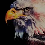 Troy Akers - @tdakers1 - Instagram