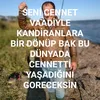 Tik Toker - @troyalii17 - TikTok