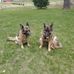 Troy Arnold - Facebook