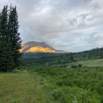 Troy Bader - @baderfarmsltd - Instagram