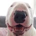 Troy Bame - Facebook