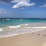 Troy Basden - @troy.basden - Instagram