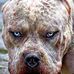 Troy Beardsley - Facebook