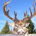 Troy Belanger - Facebook