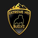 Troy Bennett - @troy_bennett_extremehdbullyz - Instagram