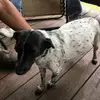 Troy Benson - @troy.benson - TikTok