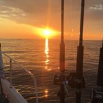 Troy Benson - @mistydawncharters - Instagram