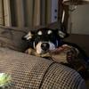 T_Berg12 - @troyberghoefer - TikTok
