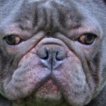 T-Roy Genkins - @troy_bergmann - Instagram