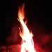Michael Troy Bertram - Facebook