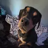 Troy_the_bird - @troy_mims - TikTok
