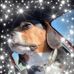 Troy Blank - Facebook