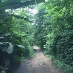 Troy Botting - @troy.botting - Instagram