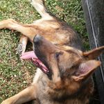 Troy Buckley - @buckley4330 - Instagram