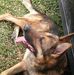 Troy Buckley - Facebook