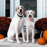 Buscher & Trona Murphy - @buscher_trona_murphy - Instagram