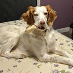Troy Burkett - @troy_0200 - Instagram