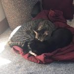 Troy Callahan - @troy.callahan.733 - Instagram