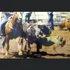 Troy Callaway - @tlcallaway51 - TikTok