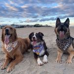 Axel, Troy, Captain and Aphrodite - @axel.troy.captain - Instagram