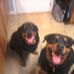 Troy Carney - Facebook