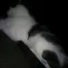 troy case - @troy.case50 - TikTok
