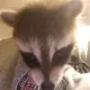Troy Chaney - @troy.chaney3 - TikTok