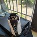 Troy Chapman - Facebook