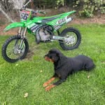 Troy Chapman - @troychap_66 - Instagram