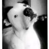 Troy Chesters - @troychesters2003 - TikTok