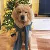 Troy - @troychow_ - TikTok