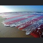 Troy Coen - @coentroy - Instagram