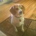 Troy Coen - Facebook